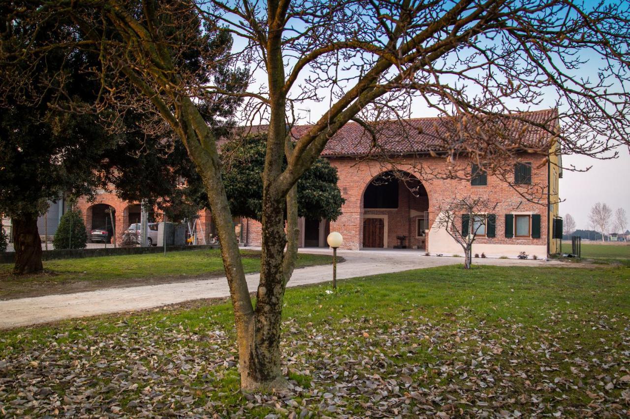 Casa Norma Piano Terra Villa San Martino di Lupari ภายนอก รูปภาพ
